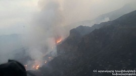 Working Group To Be Established To Prevent Forest Fires