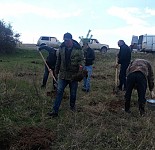 Tree Planting Carried Out in SPANS and Divisions Subject to State Forest Committee