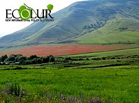 Specialists Proposing Armenian PM To Have A Meeting To Discuss Preservation and Management of Ecosystems and Natural Wealth