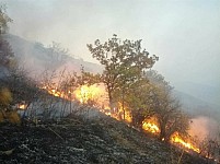 20 Cases of Fire Recorded