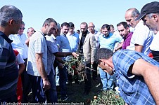 Government Appraising Armavir's Hail- Driven Damage