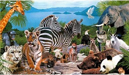 World Animal Day Celebrated Worldwide on 4 August