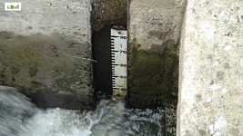 145 SHPPs Violated Water Use Permit Terms