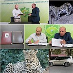 WWF Armenia and Inspection Body To Cooperate Within Leopard Conservation Project