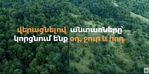 A Video Clip Shot on Illegal Tree Felling in Armenia