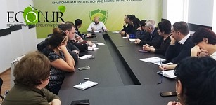 Environmental and Mining Inspection Body Organized Expert Discussion on SHPPs