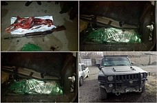 Damage of 3 Million AMD Caused to Nature Because of Illegal Hunting of Bezoar Goat