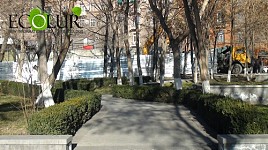 Показывая много  зеленых зон Еревана, больше средств было потрачено впустую