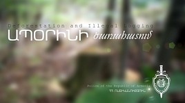 Policemen Detected Citizen Having Felled Trees in Dilijan National Park