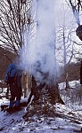 Tree with Burning Hollow Detected in Dilijan National Park