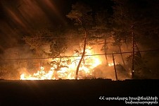 5-6 Ha Area Burnt Down As A Result of Fire Broken out in Lori Forest