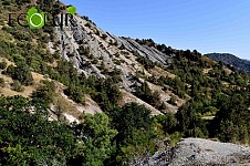 В 2019 году на охрану окружающей среды будет выделено 11 миллиардов 855 миллионов 179 тысяч драмов