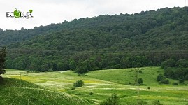 Planned To Make EIA Mandatory for Changing Categories of Forest Areas and SPAN Areas