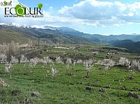 Some Gndevaz Villagers Stated They Are Ready to Return Money They Received from Lydian Armenia Company for Their Land Areas