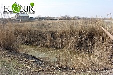 Artashar and Zartonq Community Heads Applied to PM Nikol Pashinyan Requesting To Have Former Fish Farm Areas Returned to Communities