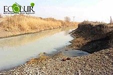 Who Is In Charge of Cleaning Armavir Canal from Sewage?