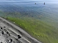 Public Environmental Court To Examine Case 