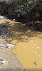 Ահազանգ. Ախթալայի հատվածում դեղնադարչնագույն աղտոտված ջրերը լցվում են Դեբեդ գետը