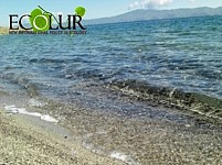 Within 4 Years Sevan National Park Implemented Only 5.7% of Reforestation