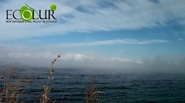 Littoral Areas of Lake Sevan Not Cleaned in 2018-2019