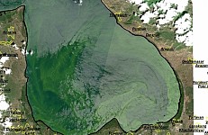 Blooming in Lake Sevan Has Unprecedented Scales: Satellite Images