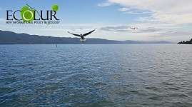 Health Minister Assigned To Take Water Sampling and Carry out Lab Analysis from Littoral Areas of Lake Sevan