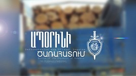 Policemen Detected Illegal Tree Felling at Dilijan National Park