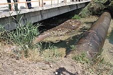 Причина загрязнения аистов в Араратском марзе вызвано отходами рыбоводства