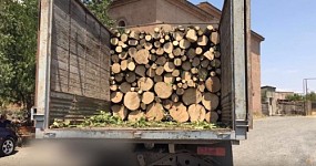 Tavush Policemen Detected Lorries Loaded with Illegal Timber and Workshop