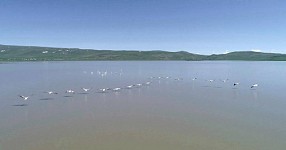 CNF перечислил 344 тысяч евро для повышения эффективности управления особо охраняемых территорий