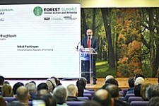 Правительство Армения имеет четкую политическую волю - сохранить, восстановить и расширить леса: Никол Пашинян
