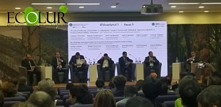 С целью удвоения лесного покрова Армении будет разработана национальная лесная 10-летняя программа