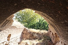 Dalma  Gardens Beating Alarm Signal