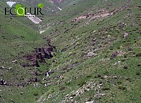 Issue of Gladzor Polymetallic Mine in Legal and Court Maze