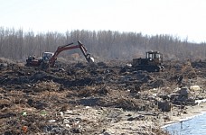 Around 112,4 Million AMD Allotted from State Budget for Cleaning of Near-Forest Areas