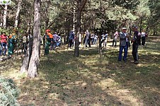 Создано Ванадзорское лесное хозяйство
