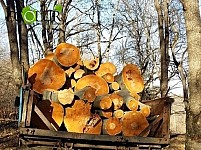 Окружающей среде нанесен ущерб на сумму более чем 12 миллионов драмов
