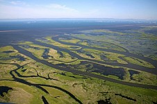 Call - Petition Aimed at Climate Bonds Initiative 