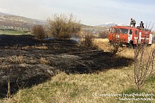 Пожарные-спасатели потушили пожары на территории более чем 55 гектаров