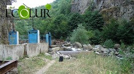 Water Intake Volume of 