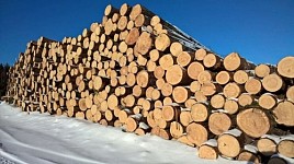 Будет введен запрет на экспорт древесины из Армении в третьи страны