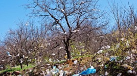 С 1 января 2022 года Армения запретит продажу полиэтиленовых пакетов и мешков