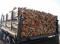 Ущерб на сумму более чем 4.6 миллионов драмов за незаконные рубки