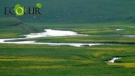 Natural Resource Tax And Environmental Tax Tates Ro Be Doubled To Prevent Overexploitation of Natural Resources