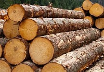 Export of Armenian Timber Beyond EEU Banned