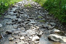 March 14 is World Rivers Day