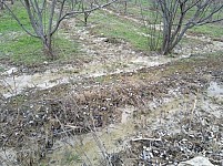 Kartchevan Residents Sued Agarak Copper and Molybdenum Combine