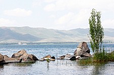 2020 թ․ առաջին եռամսյակում մաքրվել է Սևանա լճի ափամերձ 16 հա տարածք