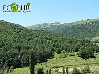 Statement of Over 240 Organizations Demanding Annulling Bill on Restricting Provision of Environmental Information Sent to Armenian Government