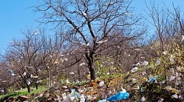 С 2022 года Армения запретит продажу полиэтиленовых пакетов